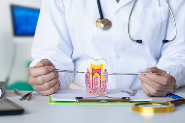 Best Broken or Chipped Tooth Repair in Douglas, GA